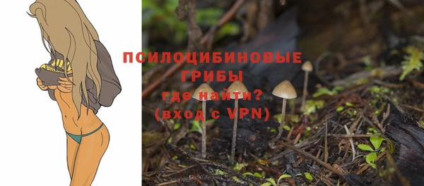 твердый Богородицк