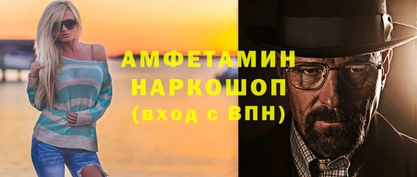 гашик Богданович