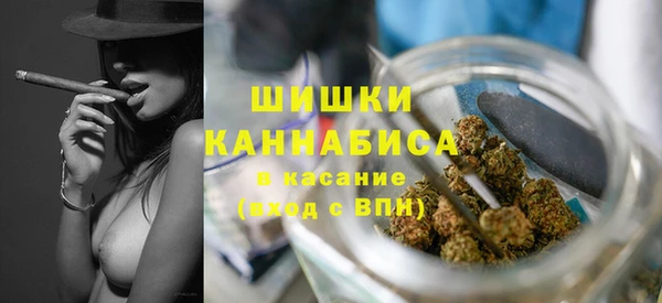 гашик Богданович