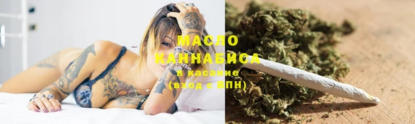 твердый Богородицк