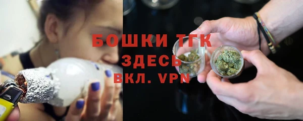 твердый Богородицк