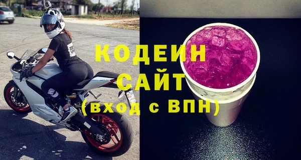 гашик Богданович