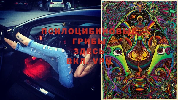прущий лед Богородск