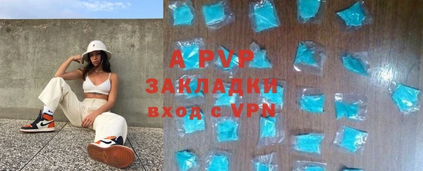 гашик Богданович