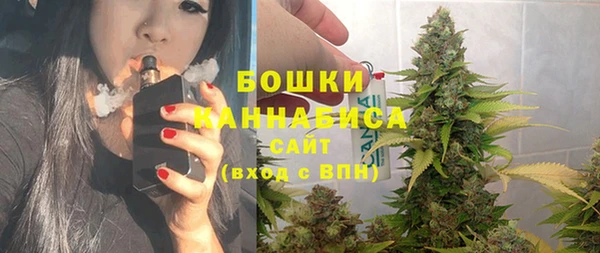 гашик Богданович