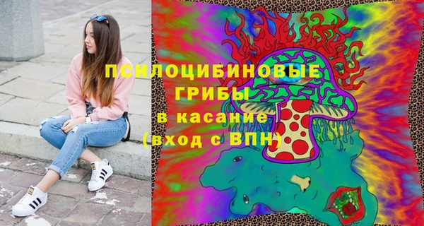 твердый Богородицк