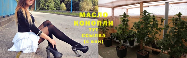 твердый Богородицк