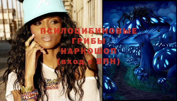 гашик Богданович
