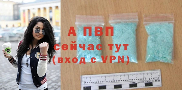 гашик Богданович